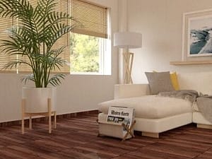 Manchester Chocolate